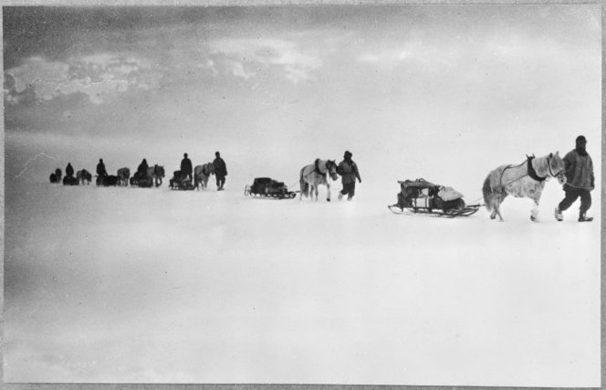 Ponies pulling sleds in the Antarctic - Photograph taken by Captain Robert Falcon Scott. Kinsey, Joseph James (Sir), 1852-1936 :Photographs relating to Antarctica and mountaineering. Ref: PA1-f-066-05-02. Alexander Turnbull Library, Wellington, New Zealand. 