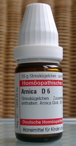 Arnica_montana_homéopathie_zoom